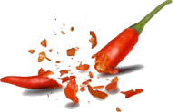 Geebug%20Curry%20Corner%20